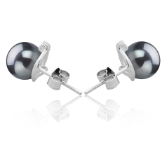Par de pendientes de perlas Perla de Agua Dulce de calidad AAAA de 7 a 8mm en color Negro