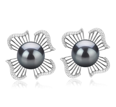 Par de pendientes de perlas Perla Tahití de calidad AAA de 10 a 11mm en color Negro