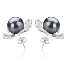 Par de pendientes de perlas Perla Tahití de calidad AAA de 10 a 11mm en color Negro