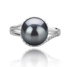 Anillo de perlas Perla Tahití de calidad AAA de 9 a 10mm en color Negro
