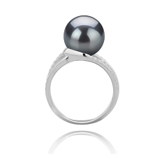 Anillo de perlas Perla Tahití de calidad AAA de 10 a 11mm en color Negro