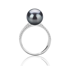 Anillo de perlas Perla Tahití de calidad AAA de 9 a 10mm en color Negro