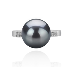 Anillo de perlas Perla de Agua Dulce de calidad AAAA de 10 a 11mm en color Negro