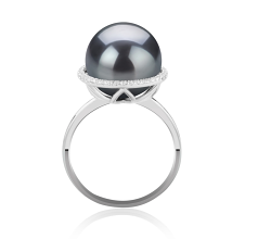 Anillo de perlas Perla Tahití de calidad AA de 12 a 13mm en color Negro