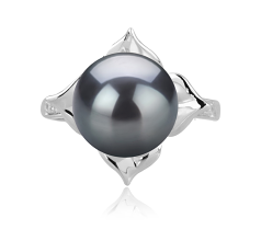 Anillo de perlas Perla Tahití de calidad AAA de 10 a 11mm en color Negro