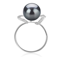 Anillo de perlas Perla Tahití de calidad AAA de 10 a 11mm en color Negro