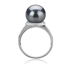 Anillo de perlas Perla Tahití de calidad AAA de 10 a 11mm en color Negro
