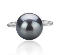 Anillo de perlas Perla Tahití de calidad AAA de 10 a 11mm en color Negro