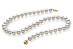 Collar de perlas Perla Akoya Japonesa de calidad Hanadama - AAAA de 8 a 8.5mm en color Blanco