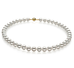 Collar de perlas Perla Akoya Japonesa de calidad Hanadama - AAAA de 8 a 8.5mm en color Blanco