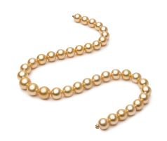 Collar de perlas Mar del Sur de calidad AAA de 10.4 a 13.2mm en color Oro