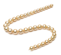 Collar de perlas Mar del Sur de calidad AAA de 10 a 13.3mm en color Oro