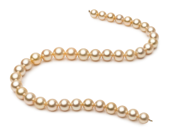 Collar de perlas Mar del Sur de calidad AA+ de 9.6 a 12.6mm en color Oro