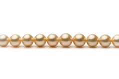 Collar de perlas Mar del Sur de calidad AA+ de 9.6 a 12.6mm en color Oro