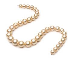 Collar de perlas Mar del Sur de calidad AA de 9.3 a 13.3mm en color Oro