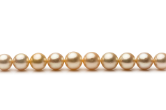 Collar de perlas Mar del Sur de calidad AA de 9.3 a 13.3mm en color Oro