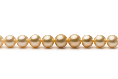 Collar de perlas Mar del Sur de calidad AA+ de 9.3 a 13.2mm en color Oro