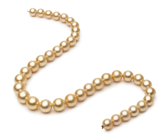 Collar de perlas Mar del Sur de calidad AA de 9.5 a 11.9mm en color Oro