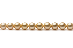 Collar de perlas Mar del Sur de calidad AA de 9.5 a 11.9mm en color Oro