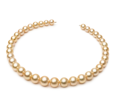 Collar de perlas Mar del Sur de calidad AA de 9.7 a 13.9mm en color Oro