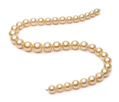 Collar de perlas Mar del Sur de calidad AA de 9.7 a 13.9mm en color Oro