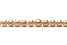 Collar de perlas Mar del Sur de calidad AA de 9.7 a 13.9mm en color Oro