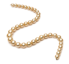 Collar de perlas Mar del Sur de calidad AA de 9.2 a 12.8mm en color Oro