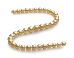 Collar de perlas Mar del Sur de calidad AAA de 10 a 13.5mm en color Oro