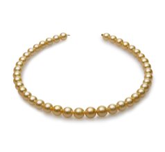 Collar de perlas Mar del Sur de calidad AA de 9 a 12mm en color Oro