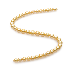 Collar de perlas Mar del Sur de calidad AA de 9 a 12mm en color Oro