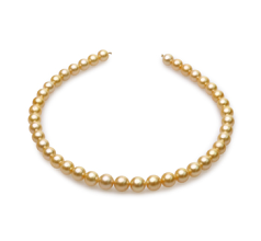 Collar de perlas Mar del Sur de calidad AA de 9 a 11.4mm en color Oro