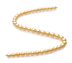 Collar de perlas Mar del Sur de calidad AA de 9 a 11.4mm en color Oro