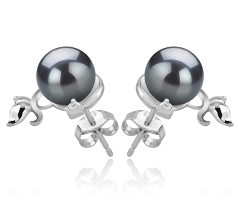 Par de pendientes de perlas Perla Akoya Japonesa de calidad AA de 7 a 8mm en color Negro