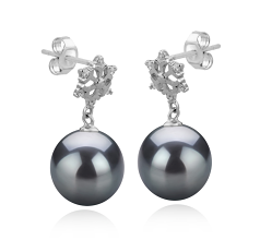 Par de pendientes de perlas Perla Tahití de calidad AAA de 10 a 11mm en color Negro