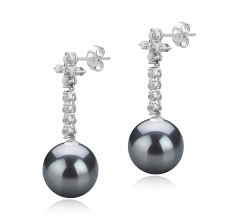 Par de pendientes de perlas Perla Tahití de calidad AAA de 10 a 11mm en color Negro