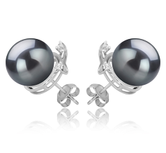 Par de pendientes de perlas Perla Tahití de calidad AAA de 10 a 11mm en color Negro