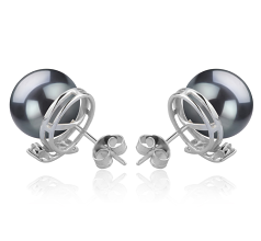 Par de pendientes de perlas Perla Tahití de calidad AAA de 10 a 11mm en color Negro