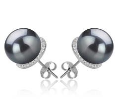 Par de pendientes de perlas Perla Tahití de calidad AAA de 10 a 11mm en color Negro