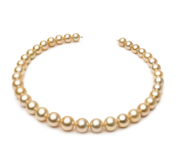 Collar de perlas Mar del Sur de calidad AAA de 10 a 13.3mm en color Oro