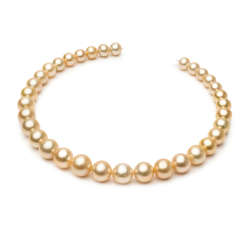 Collar de perlas Mar del Sur de calidad AA de 10.1 a 14.6mm en color Oro