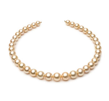 Collar de perlas Mar del Sur de calidad AA+ de 9.6 a 12.6mm en color Oro
