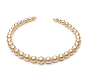 Collar de perlas Mar del Sur de calidad AA de 9.3 a 13.3mm en color Oro
