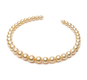 Collar de perlas Mar del Sur de calidad AA+ de 9.3 a 13.2mm en color Oro