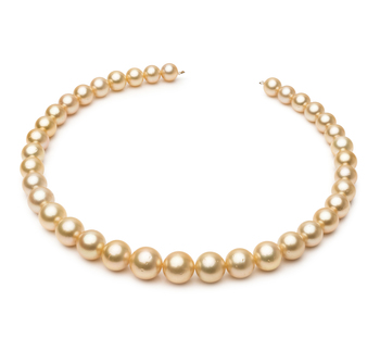 Collar de perlas Mar del Sur de calidad AA de 9.7 a 13.9mm en color Oro