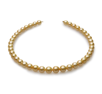 Collar de perlas Mar del Sur de calidad AA de 9 a 12mm en color Oro
