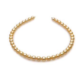 Collar de perlas Mar del Sur de calidad AA de 9 a 11.4mm en color Oro