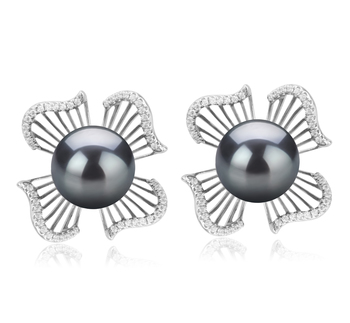 Par de pendientes de perlas Perla Tahití de calidad AAA de 10 a 11mm en color Negro