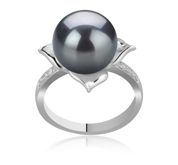 Anillo de perlas Perla Tahití de calidad AAA de 10 a 11mm en color Negro