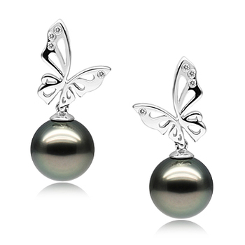 Par de pendientes de perlas Perla Tahití de calidad AAA de 10 a 11mm en color Negro