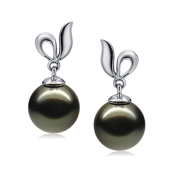 Par de pendientes de perlas Perla Tahití de calidad AAA de 9 a 10mm en color Negro